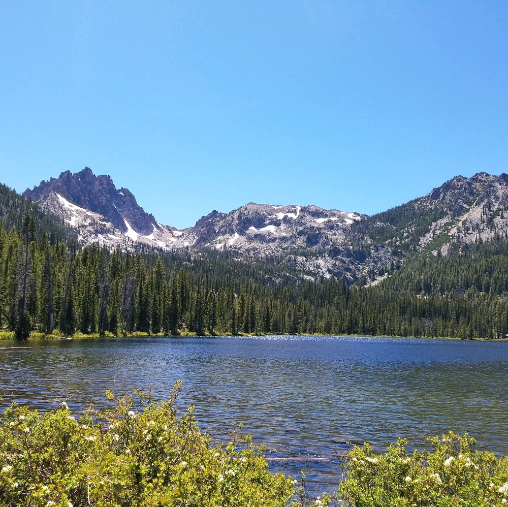 Meet your Posher, Ambrea